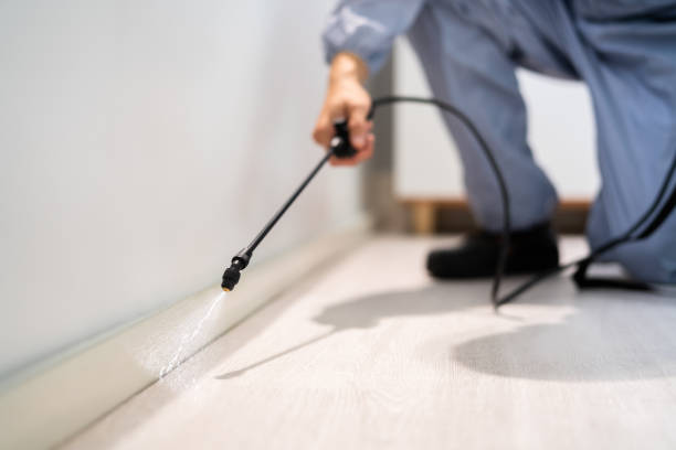 Licensed Termite Control service in Chesterfield County County, SC - Nex Pest Control