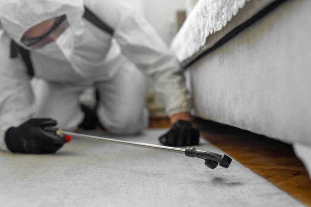 Professional Termite Control technician working in Chesterfield County County, SC